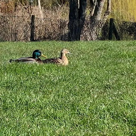 Vikingbnb Nocleg ze śniadaniem Kirke Såby